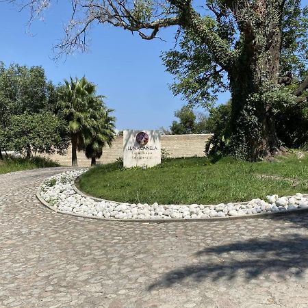 Hotel & Spa Luna Canela Boutique Atlixco Luaran gambar